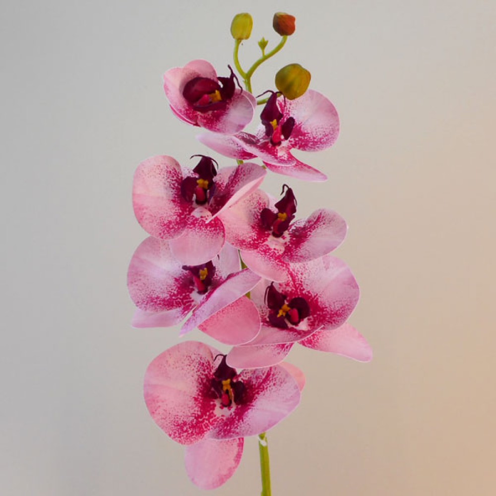 Artificial Phalaenopsis Orchid Two Tone Pink 78cm Artificial Flowers